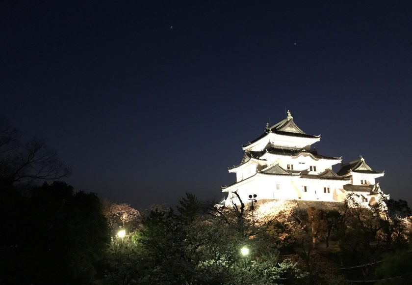 和歌山城と夜桜 貼雑デザイン事務所