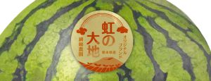 農家・農園・農業のロゴシール, 野菜・果物シール, 農業パッケージデザイン, 農業ブランディング