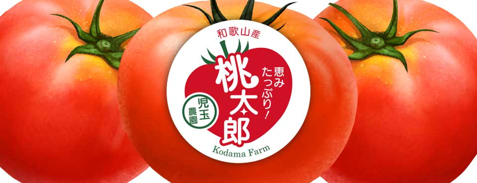 農家・農園・農業のロゴシール, 桃太郎トマト,野菜・果物シール,農業パッケージデザイン, 農業ブランディング